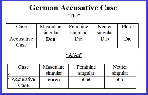 German accusative case the a an